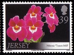 Colnect-706-307-Miltonia--lsquo-Tesson-Mill-rsquo-.jpg