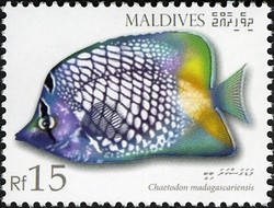 Colnect-2362-968-Madagascar-Butterflyfish-Chaetodon-madagascariensis.jpg