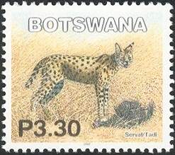 Colnect-1236-002-Serval-Leptailurus-serval.jpg