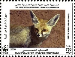 Colnect-1434-420-R-uuml-ppell--s-Fox-Vulpes-rueppellii.jpg