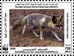 Colnect-1434-421-R-uuml-ppell--s-Fox-Vulpes-rueppellii.jpg