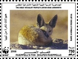 Colnect-1434-423-R-uuml-ppell--s-Fox-Vulpes-rueppellii.jpg