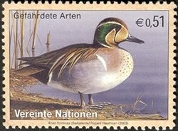 Colnect-1633-522-Baikal-Teal-Anas-formosa-.jpg