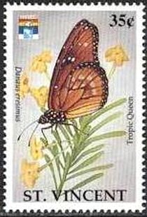 Colnect-2549-207-Tropical-Queen-Danaus-eresimus.jpg