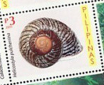 Colnect-3017-961-Land-Snail-Helicostyla-pulcerrina.jpg