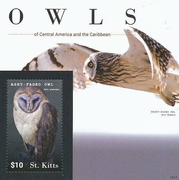 Colnect-3742-865-Owls-of-Central-America-and-the-Caribbean-3.jpg