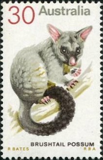 Colnect-683-129-Common-Brushtail-Possum-Trichosurus-vulpecula.jpg