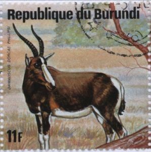 Colnect-1323-948-Blesbok-Damaliscus-dorcas-philippsi.jpg