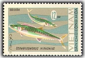 Colnect-1638-898-Japanese-Spanish-Mackerel-Scomberomorus-niphonius.jpg