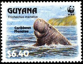 Colnect-1664-184-Caribbean-Manatee-Trichechus-manatus.jpg