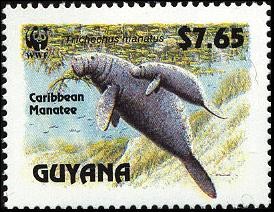 Colnect-1664-185-Caribbean-Manatee-Trichechus-manatus.jpg