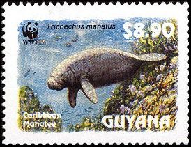 Colnect-1664-186-Caribbean-Manatee-Trichechus-manatus.jpg