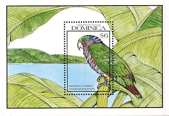 Colnect-1789-617-Imperial-Amazone-Amazona-imperialis.jpg