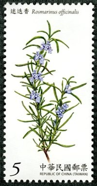 Colnect-1854-402-Rosmarinus-officinalis.jpg