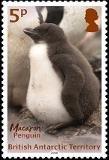 Colnect-5350-466-Macaroni-Penguin.jpg