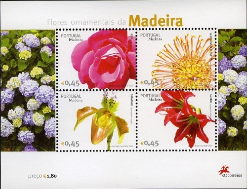 Colnect-546-329-Madeira-Flowers.jpg