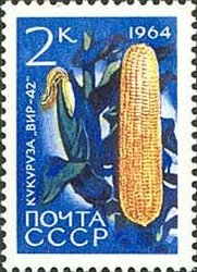 Colnect-873-572-Maize-Zeya-mais.jpg