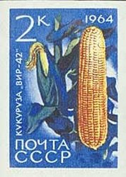 Colnect-873-573-Maize-Zeya-mais.jpg