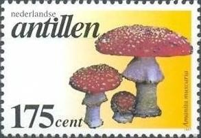 Colnect-960-116-Amanita-muscaria.jpg