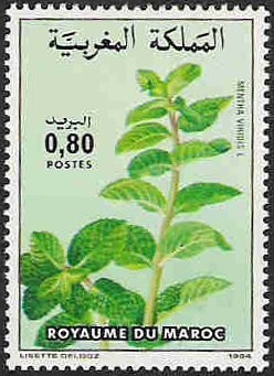 Colnect-2450-738-Spearmint---Mentha-virides.jpg