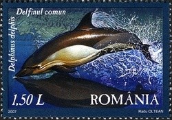 Colnect-761-894-Short-beaked-Common-Dolphin-Delphinus-delphis.jpg