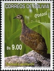 Colnect-1411-794-Puna-Tinamou-Tinamotis-pentlandii.jpg