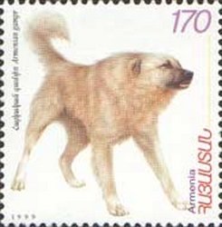 Colnect-721-333-Armenian-Gampr-Canis-lupus-familiaris.jpg