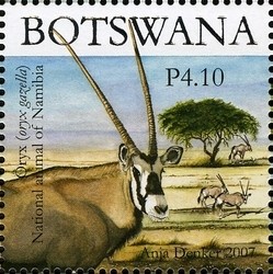 Colnect-1424-369-Gemsbok-Oryx-gazella.jpg