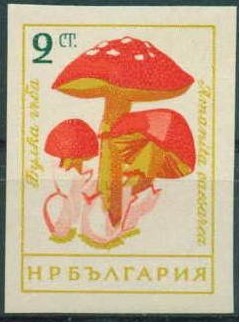 Colnect-1668-914-Caesar--s-Mushroom-Amanita-caesarea.jpg