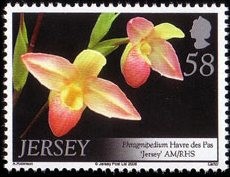 Colnect-706-310-Phragmipedium---Havre-des-Pas-Jersey--.jpg