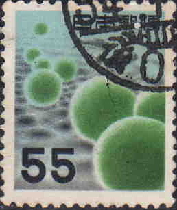 Marimo_55yen_in_1956.JPG