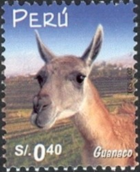 Colnect-1557-469-Guanaco-Lama-guanicoe.jpg