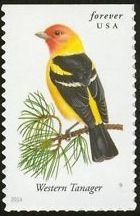 Colnect-2170-424-Western-Tanager-Piranga-ludoviciana.jpg