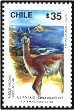 Colnect-2912-551-Guanaco-Lama-guanicoe.jpg