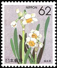 Colnect-512-950-Narcissi-Fukui.jpg