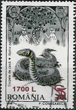 Colnect-756-935-Grass-Snake-Natrix-natrix---Overprinted.jpg