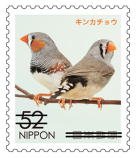 Colnect-3816-905-Zebra-Finch-Taeniopygia-guttata.jpg