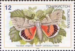 Colnect-1100-321-Timur-Underwing-Catocala-timur.jpg