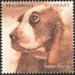 Colnect-1486-327-Basset-Hound-Canis-lupus-familiaris.jpg