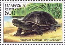 Colnect-191-522-European-Pond-Turtle-Emys-orbicularis.jpg