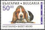 Colnect-459-045-Basset-Hound-Canis-lupus-familiaris.jpg