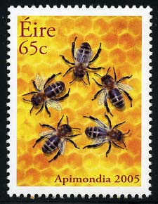 Skap-ireland_13_bee.jpg