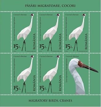 Colnect-4623-125-Siberian-crane-Leucogeranus-leucogeranus.jpg