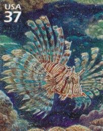 Colnect-202-203-Red-Lionfish-Pterois-volitans.jpg