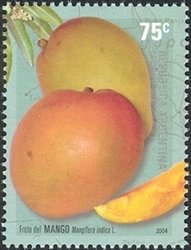 Colnect-1278-228-Fruit-of-the-Mango-tree-Syagrus-romanzoffiana.jpg