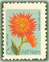 Colnect-1626-952-Orange-cactus-dahlias.jpg