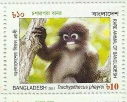 Colnect-1762-845-Phayre--s-Langur-Trachypithecus-phayrei.jpg