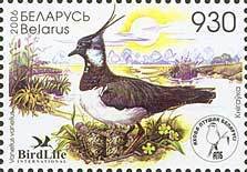 Colnect-191-610-Lapwing-Vanellus-vanellus.jpg