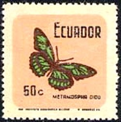 Colnect-2167-167-Dido-Longwing-Metamorpha-dido.jpg