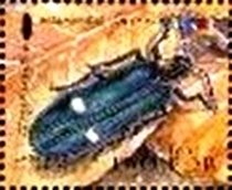 Colnect-2541-510-Metallic-Wood-Boring-Beetle-Megaloxantha-assamensis.jpg